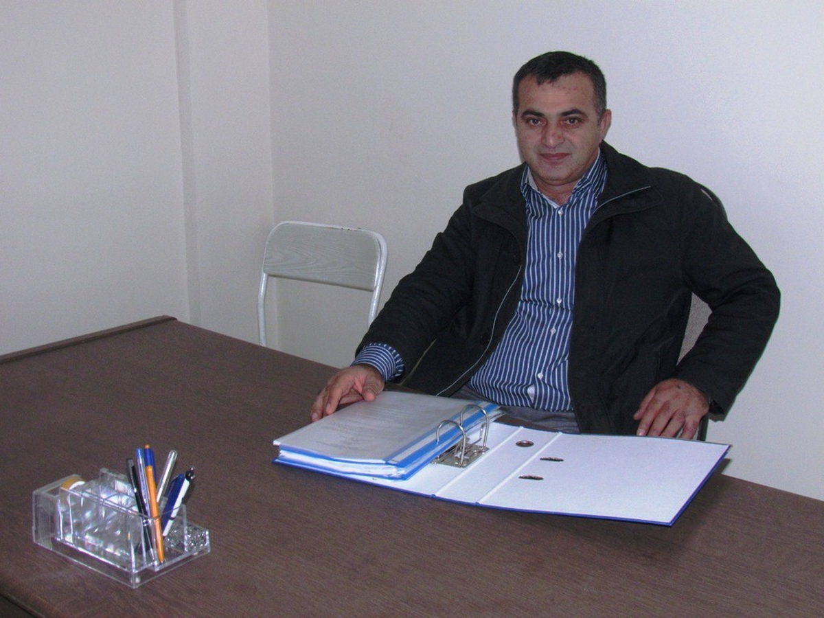 Toplulaştırma, Ağaçları Baltaların Hedefi Yaptı