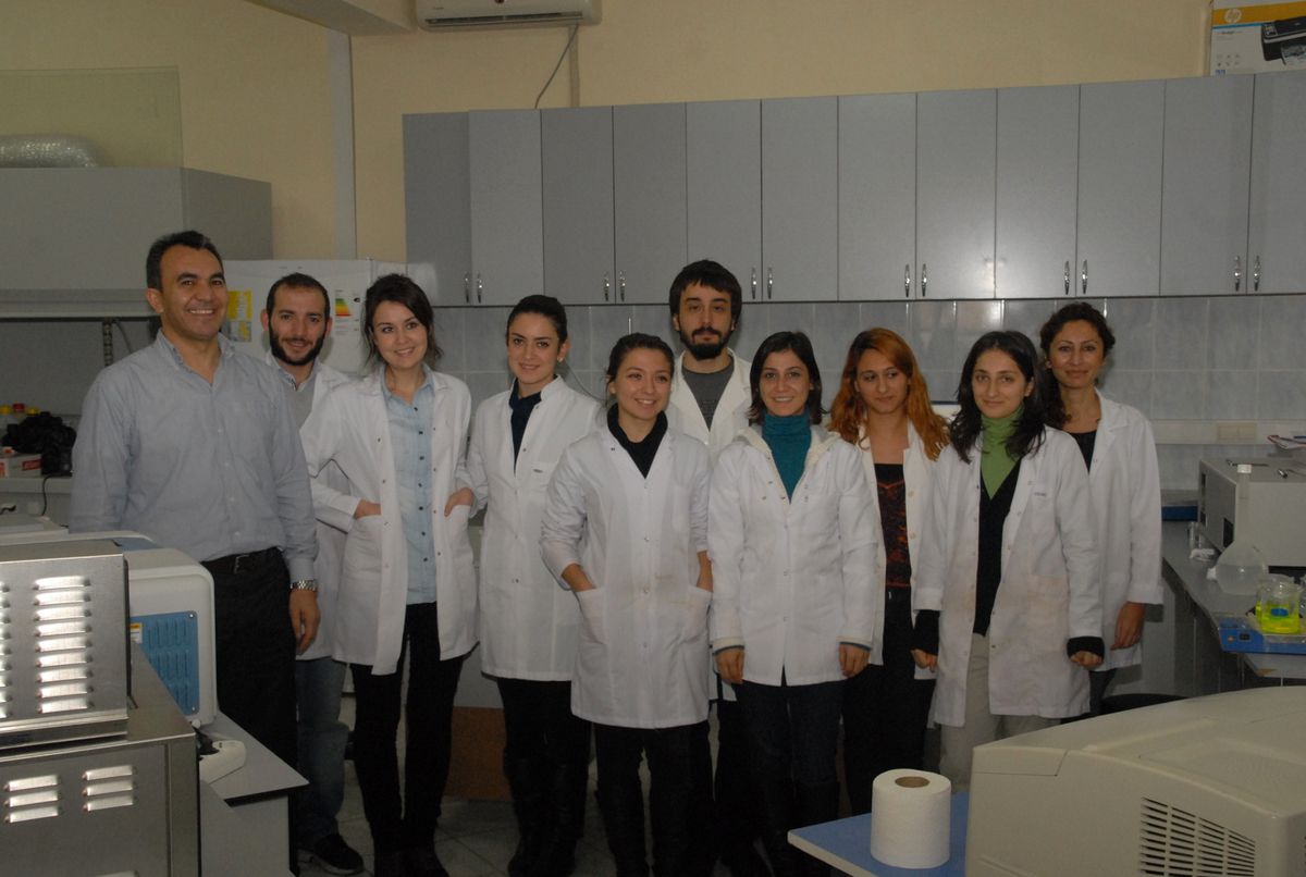 Türk Bilim Adamından "Altın Mıknatısı"