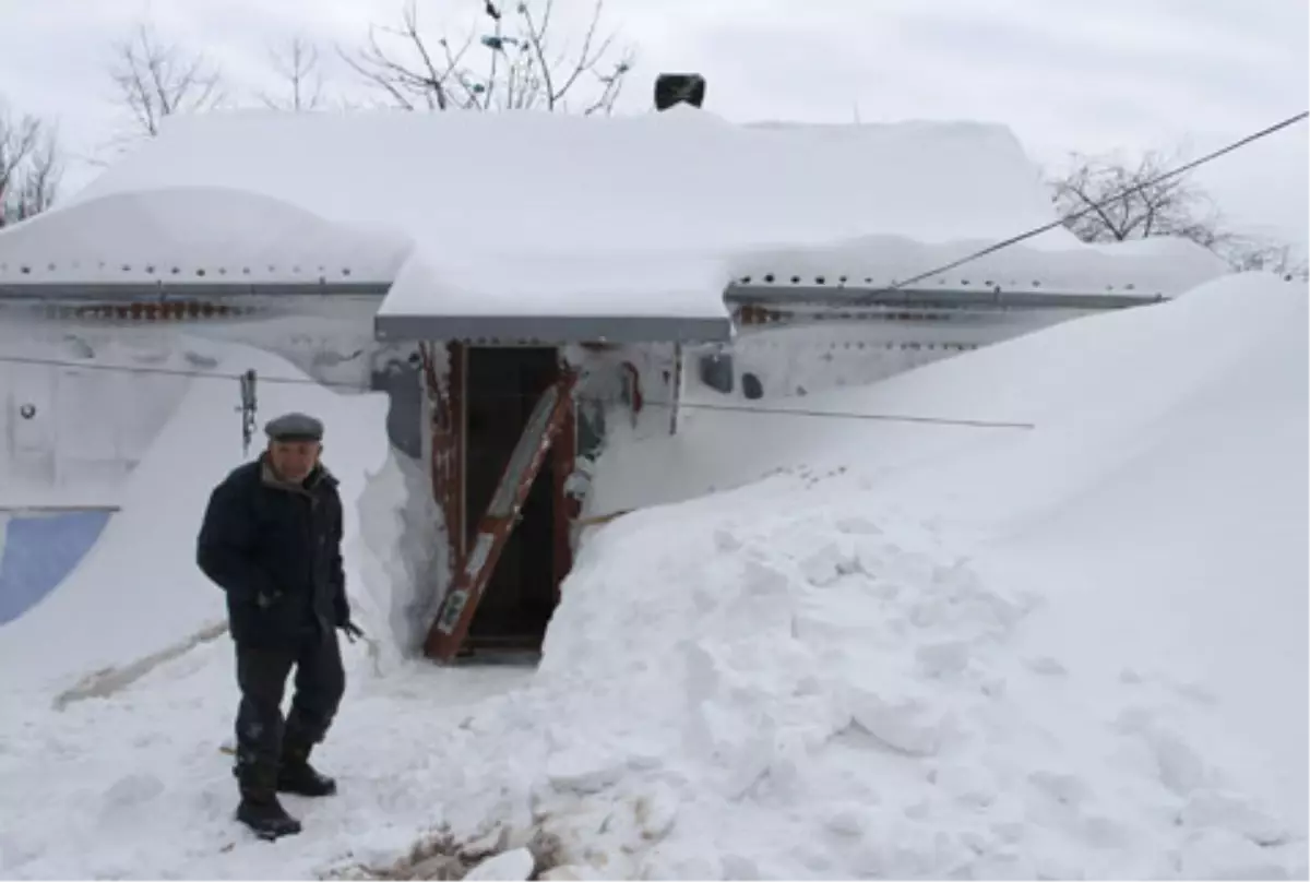 Ukrayna'da Şiddetli Soğuklarda 37 Kişi Öldü