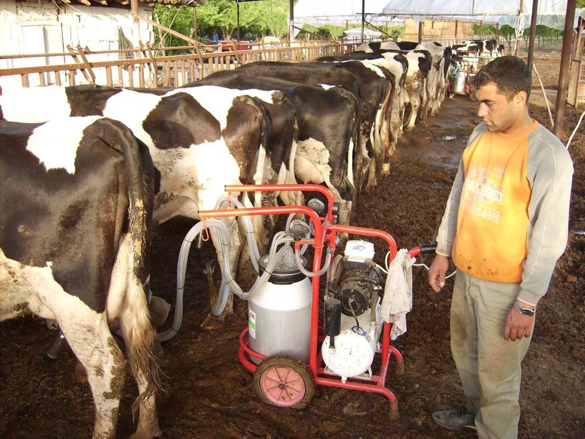 Üreticiye 196 Milyon TL\'lik Destek Ödemesi