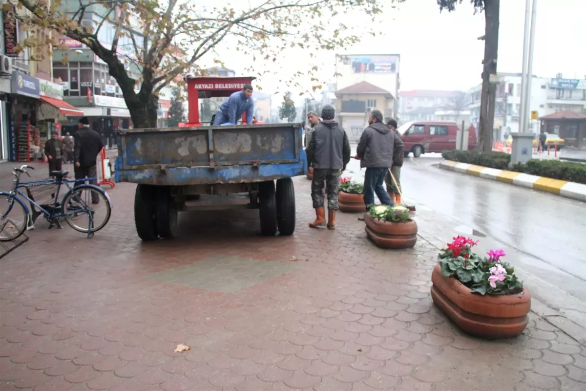Akyazı\'da Kış Aylarında Çiçek Baharı