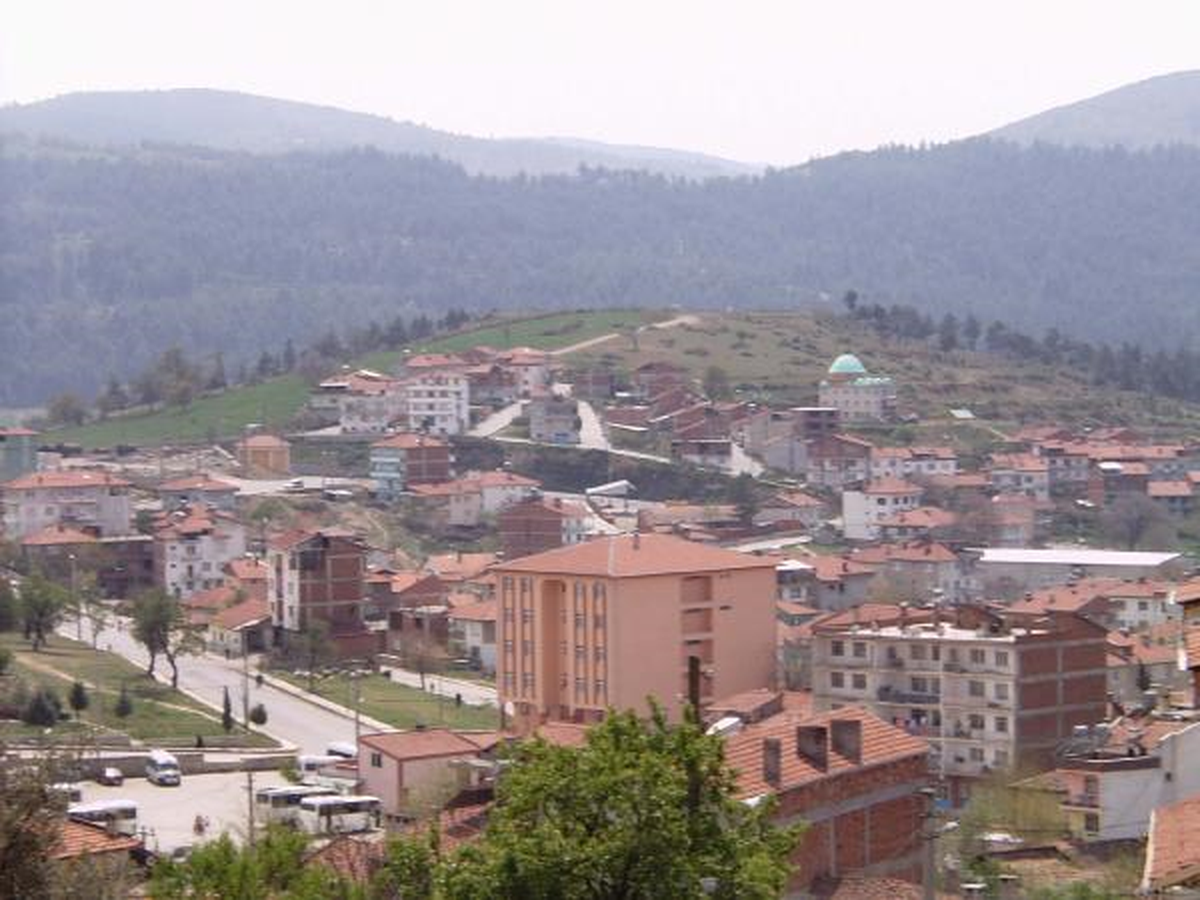 Bu İlçede Her Şey Bedava