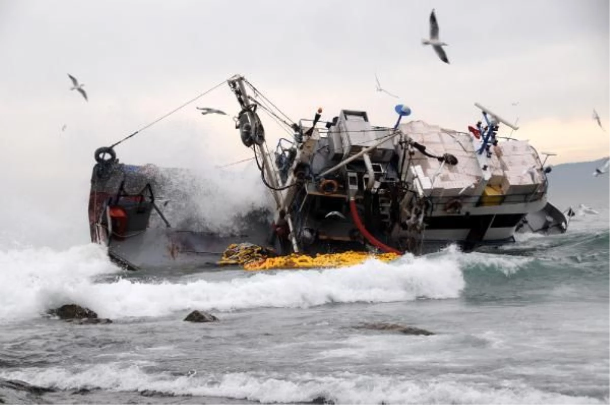 Tekne Yan Yattı, 15 Ton Hamsi Karaya Vurdu