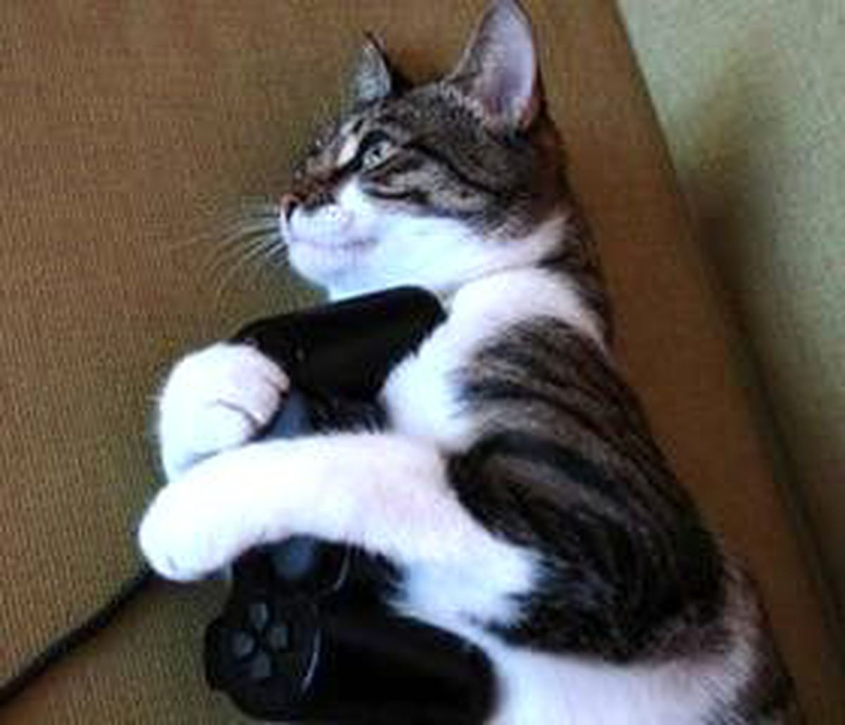 Xbox 720 Mi, Yoksa Ps4 Mü?