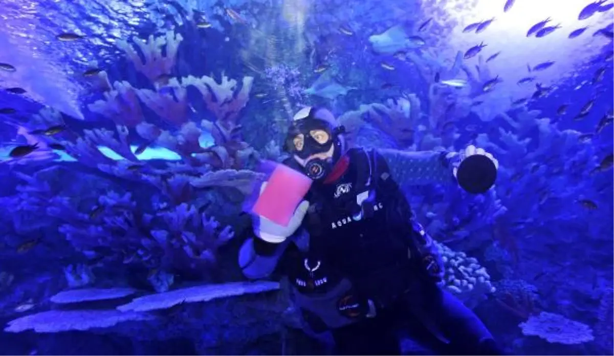 Balık Adamlar Dev Akvaryum Temizliğinde