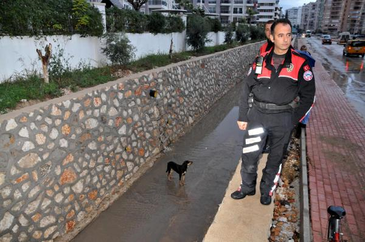 İtfaiye Erleri, Kanala Düşen Köpeği Kurtardı