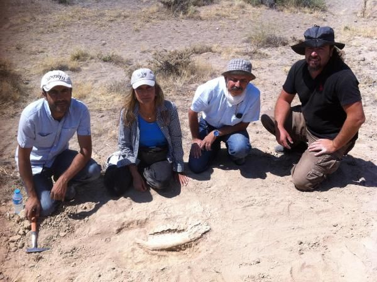 Kapadokya'da 10 Milyon Yıllık Gergedan Fosili Bulundu