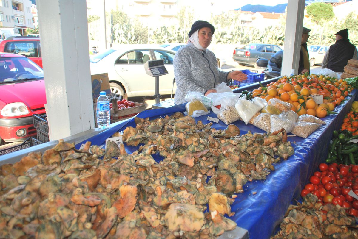 Marmaris\'te Çıntar Bereketi