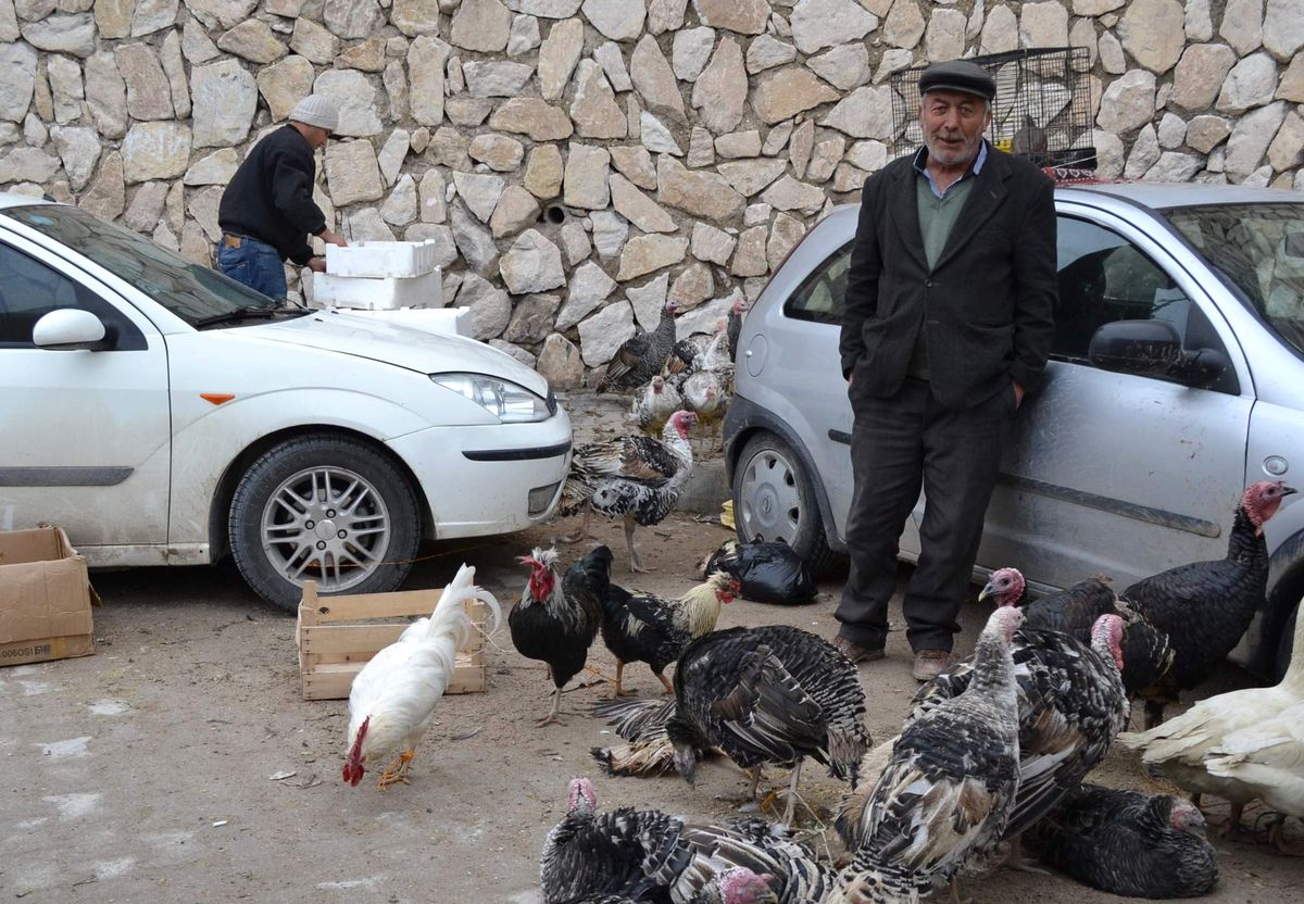 Niğde\'de Yılbaşı Hindileri Alıcılarını Bekliyor