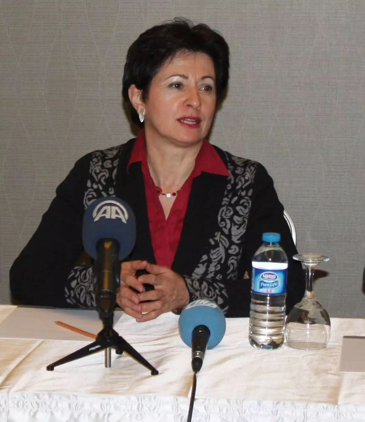 AP Heyeti Suriye Sınırındaki İncelemelerini Tamamladı