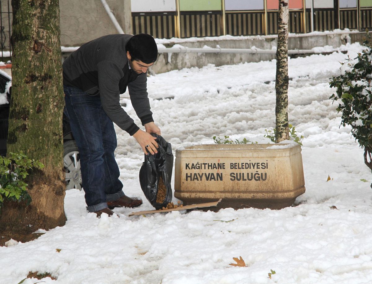 Kağıthane Belediyesi Sokak Hayvanlarını Unutmadı