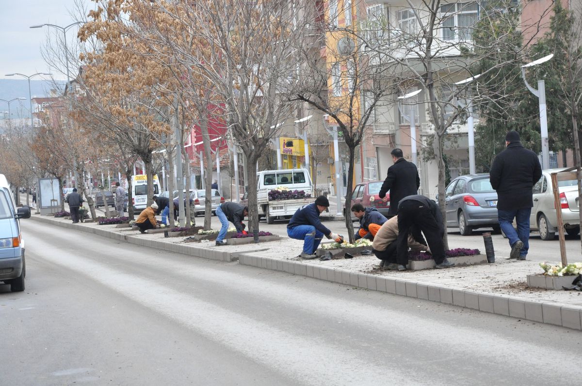 Kırıkkale\'de Park ve Refüjlere Süs Bitkisi Dikildi