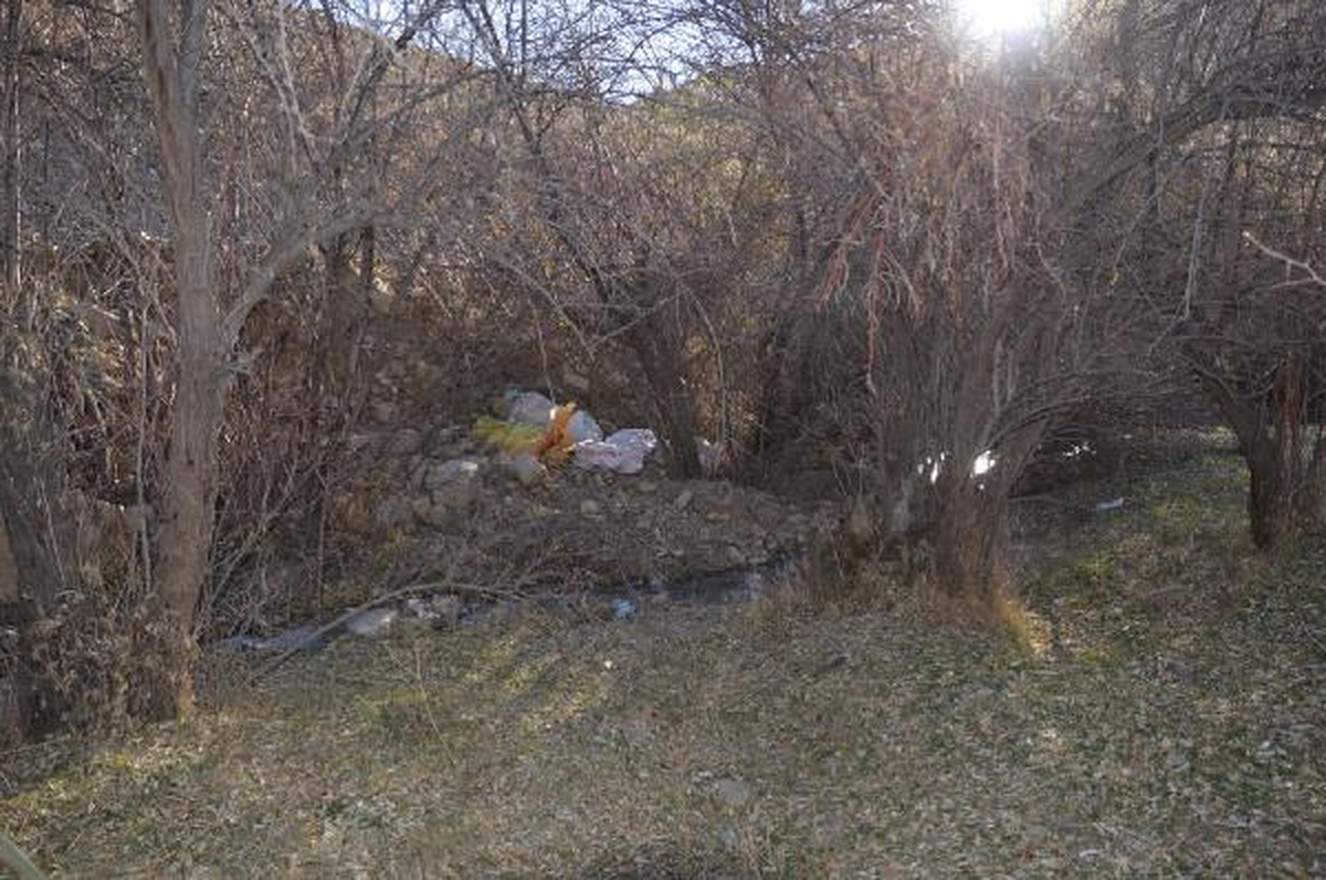 Ağaçların Arasında 164 Kilo Esrar Ele Geçirildi