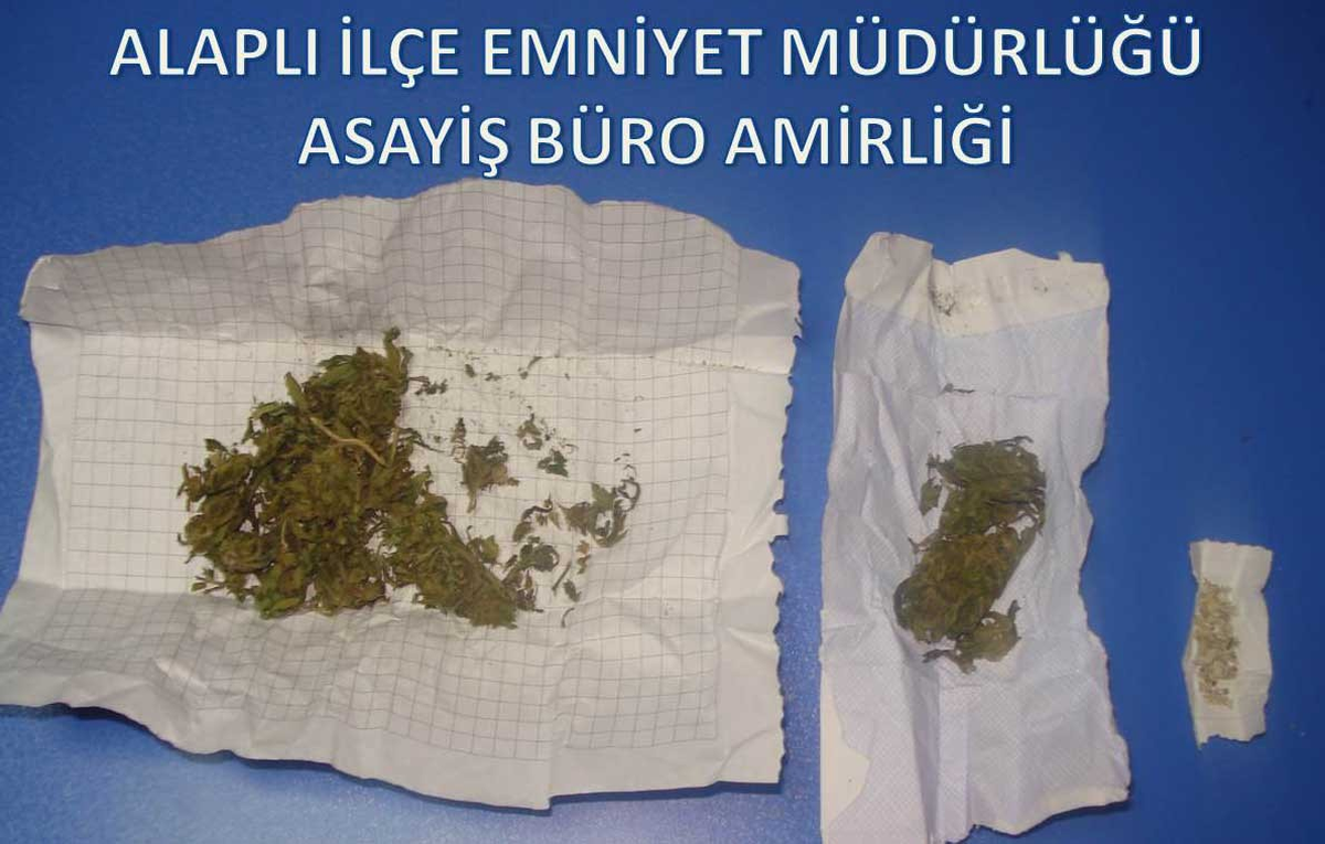Alaplı\'da Uyuşturucu Operasyonu