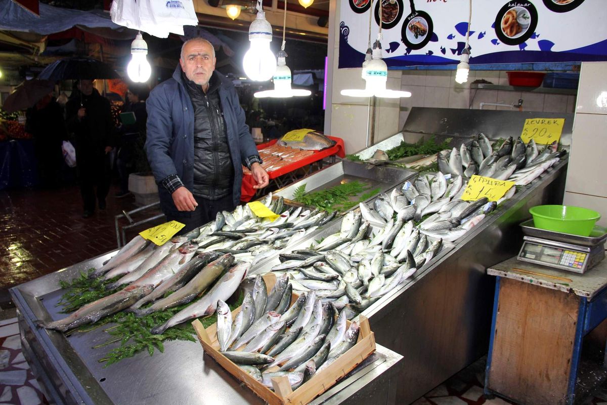 Batı Karadeniz Hamsi Sıkıntısı Yaşıyor