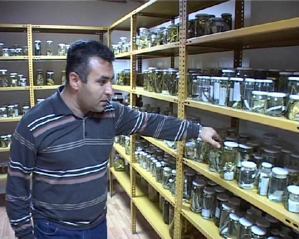 Bulduğu Yılan Türüne Hocasının Adını Verdi