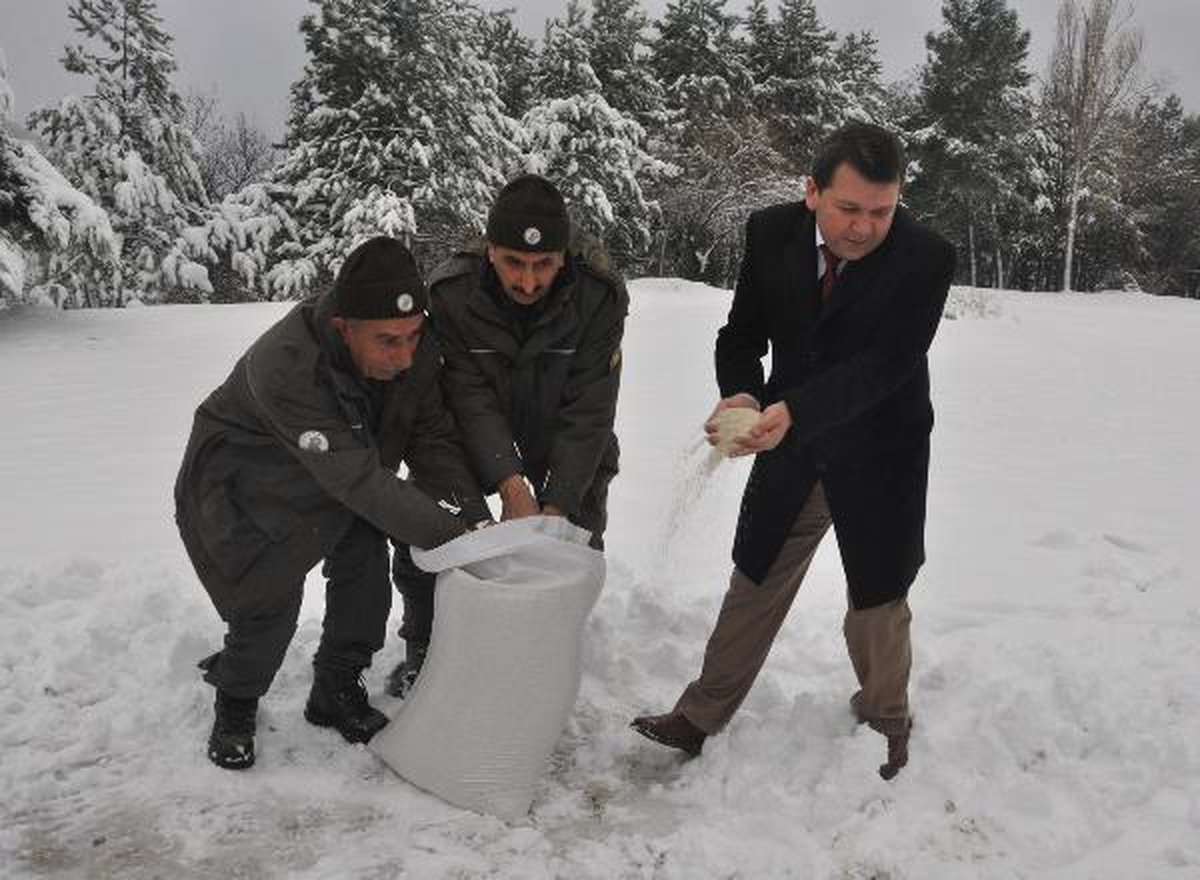 Yaban Hayvanları İçin Doğaya Yem Bıraktılar