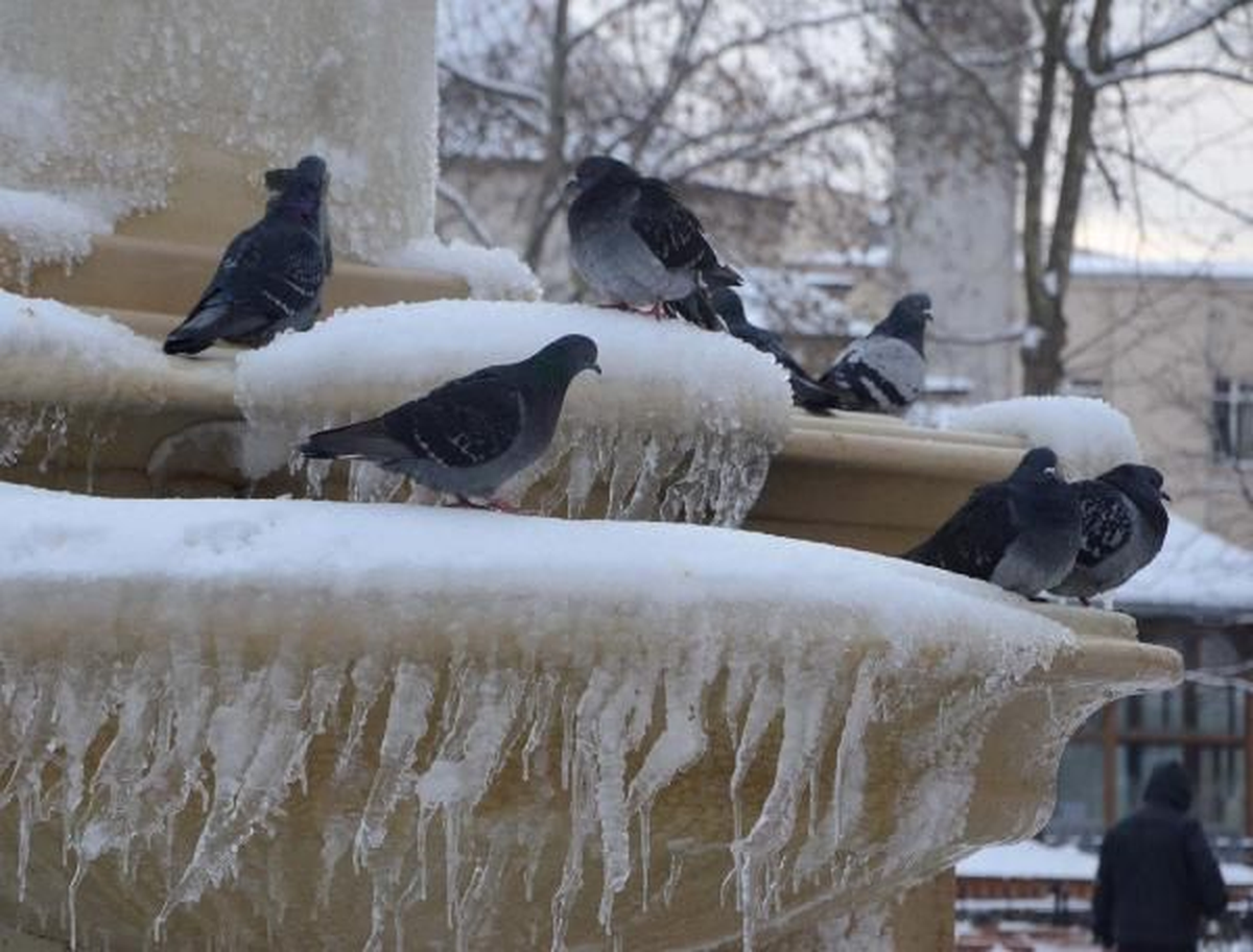 Meteorolojiden Soğuk Uyarı