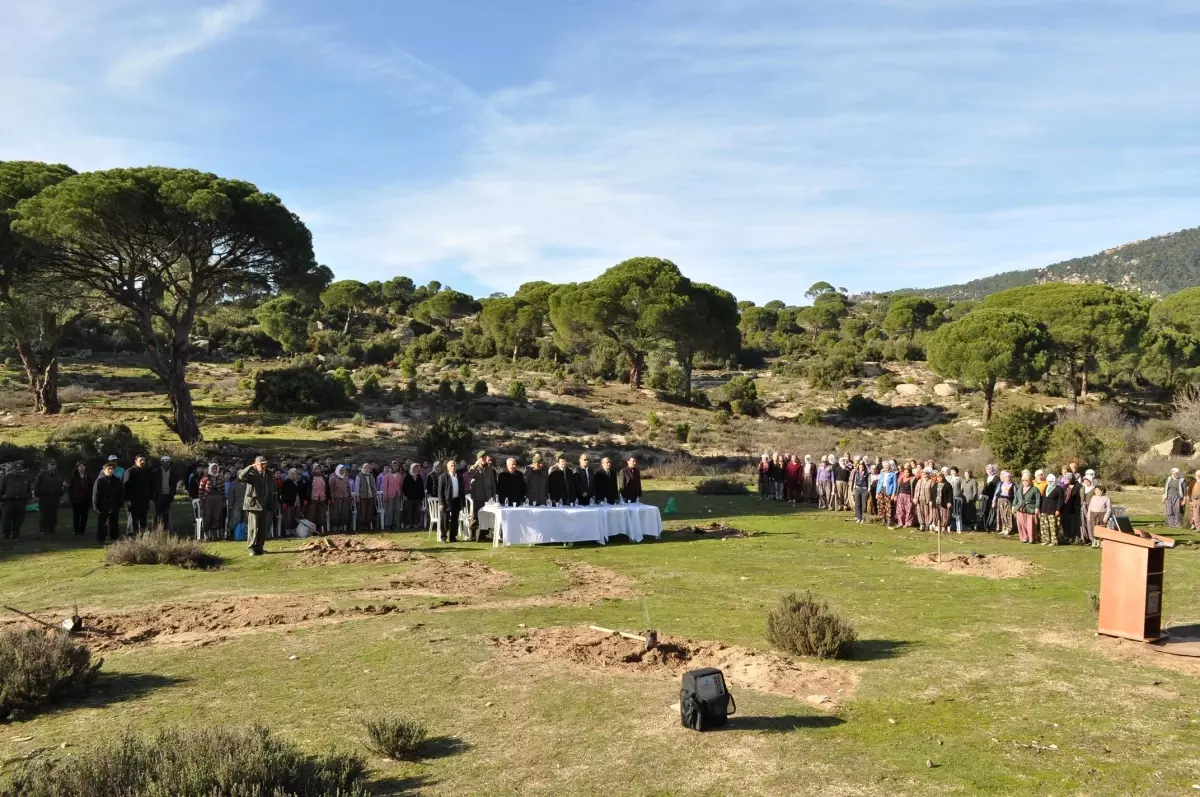 Yatağan\'da 10 Yılda 87 Bin Fıstıkçamı Dikildi