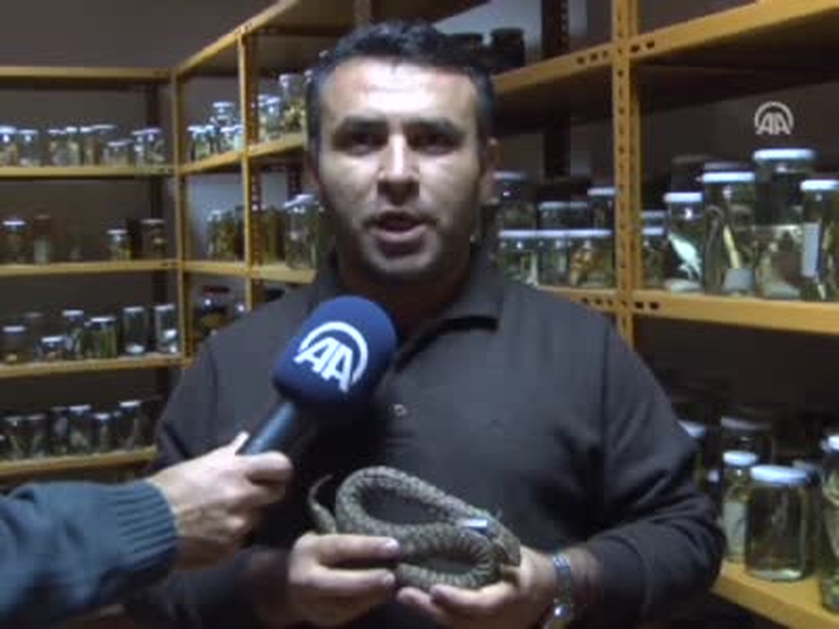 Yılana Hocasının İsmini Verdi