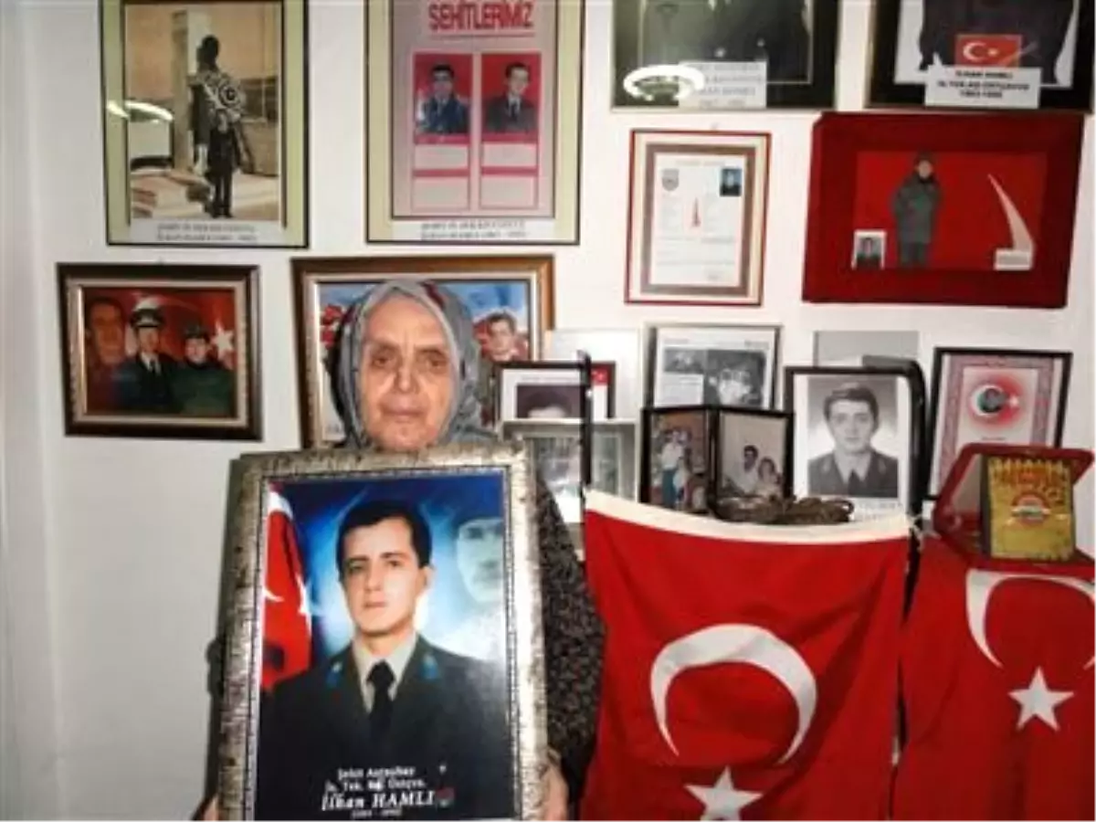 Bülent Arınç'ın Sözleri, Şehit Annesini Üzdü