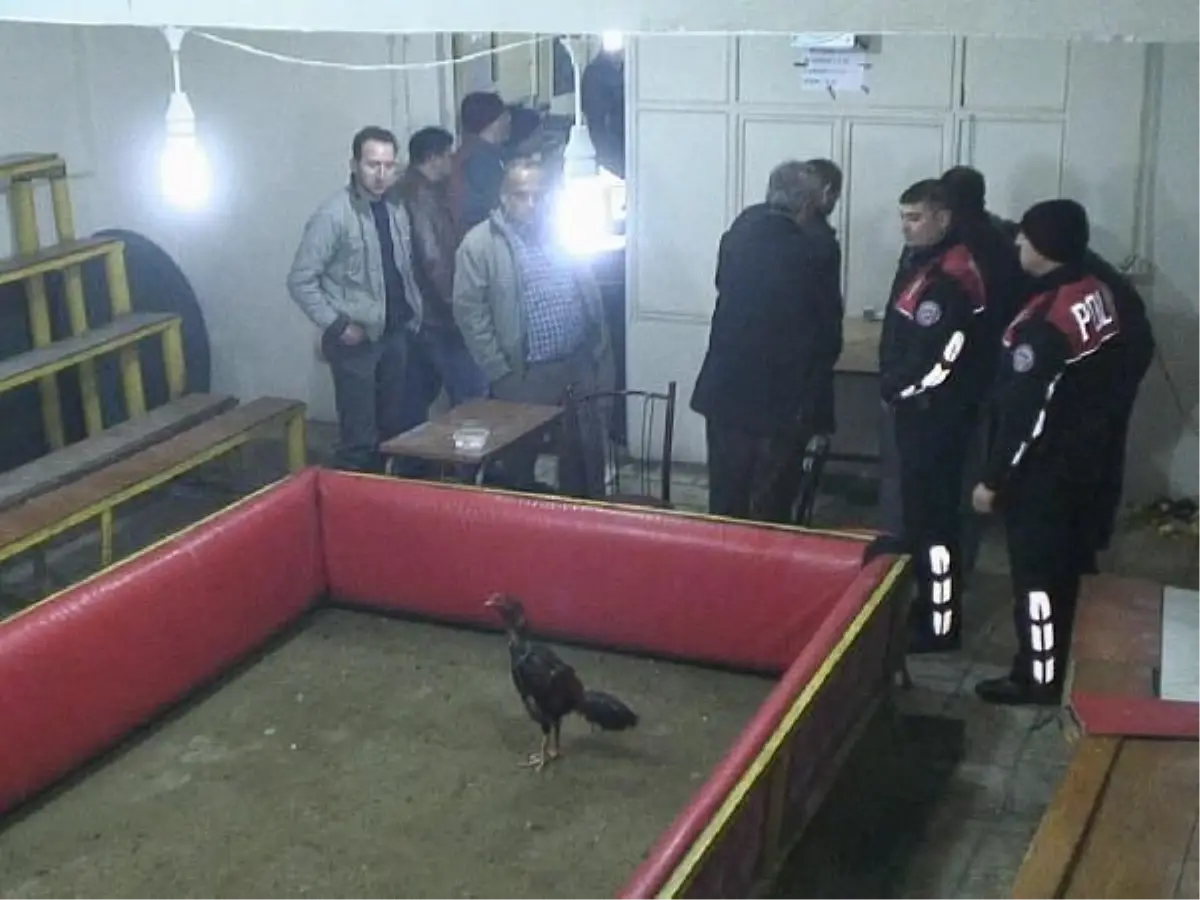 Denizli\'de Yine Horoz Dövüşü Baskını