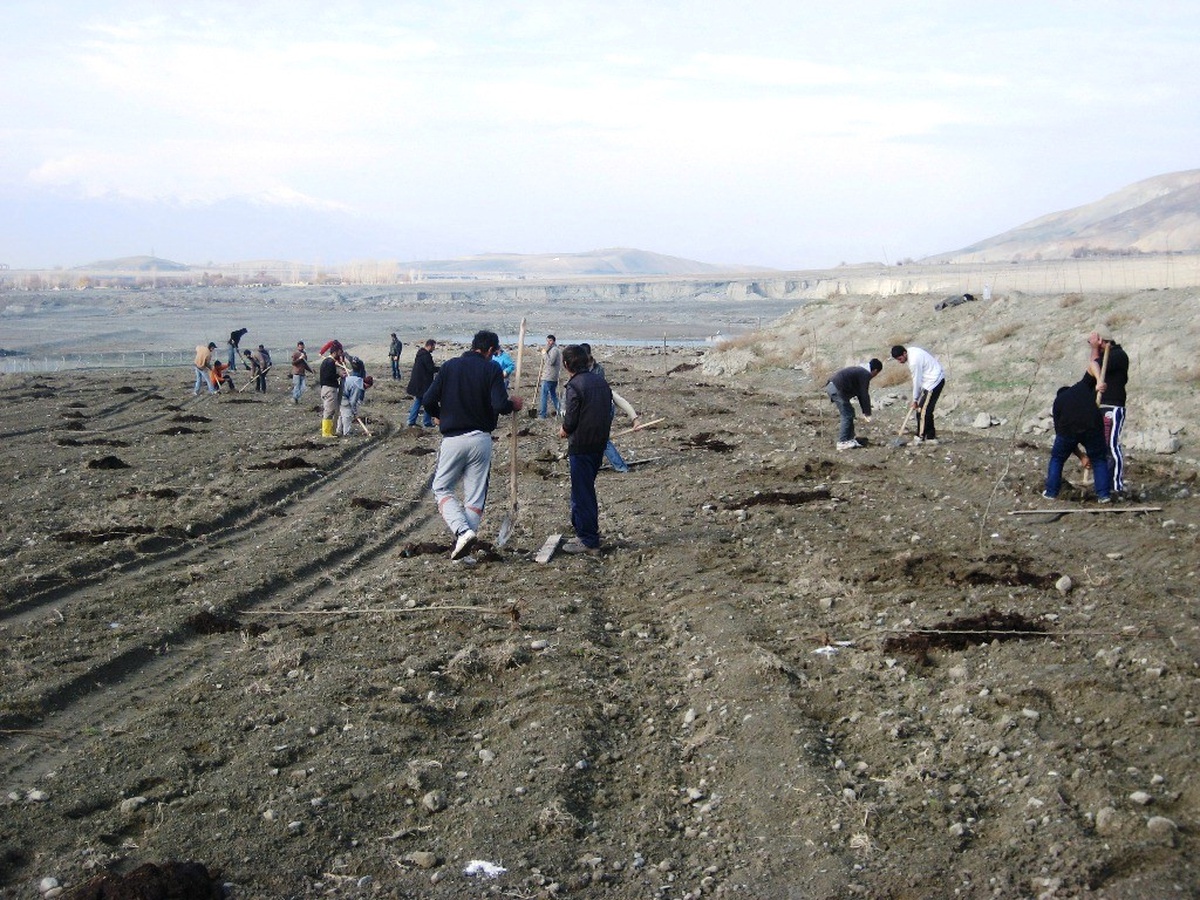 Erzincan\'da Meyveciliğe Büyük Yatırım