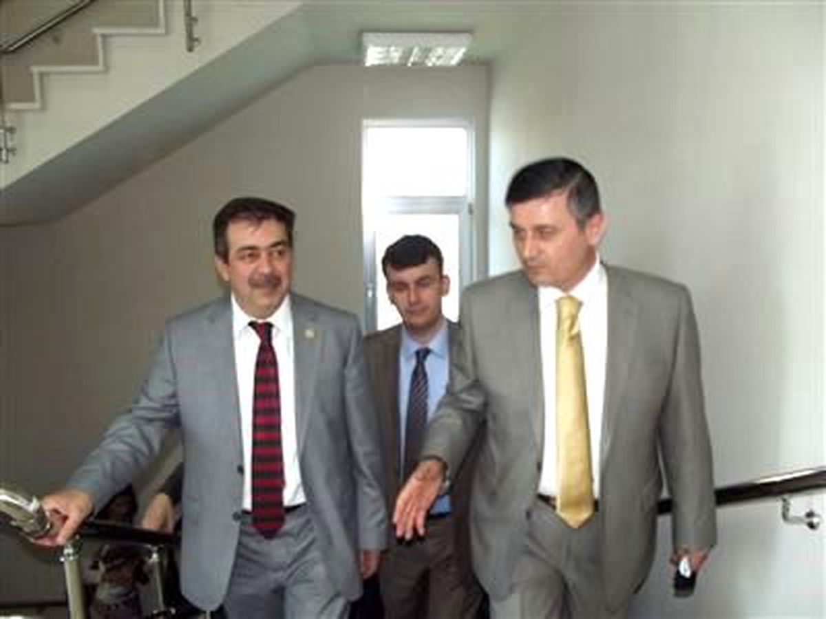 Zeytinyağı "Kamu Spotu" ile Tanıtılacak