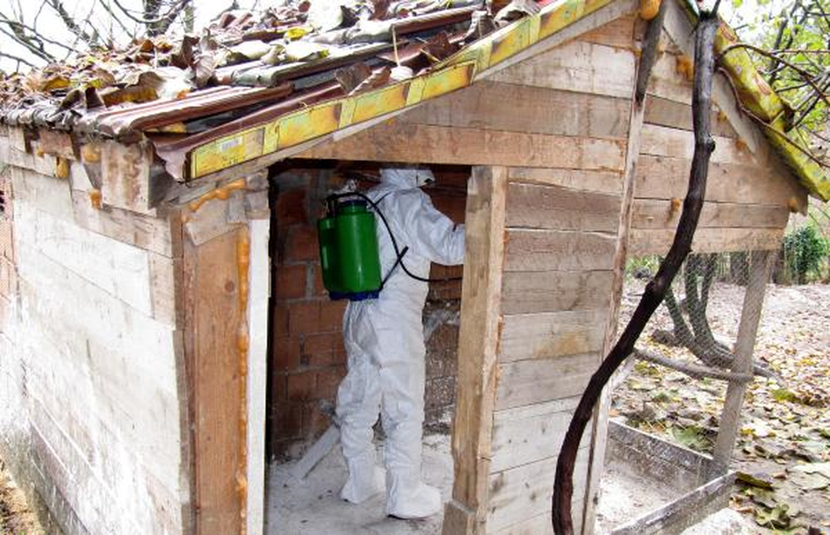 1 Belde ve 35 Köye 'Yalancı Tavuk Vebası' Koruması