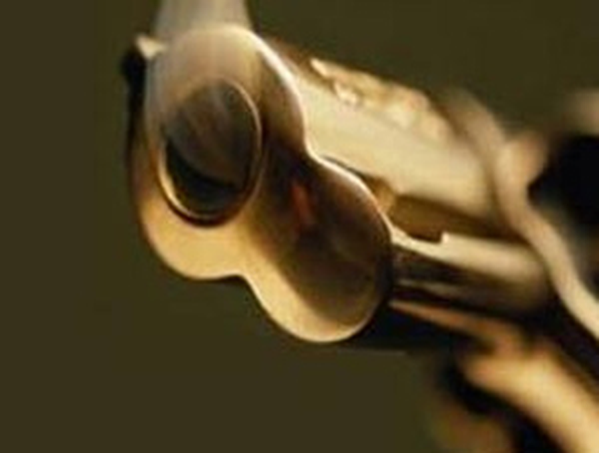 Artvin\'de Polis Memuru Kaza Kurşunuyla Öldü