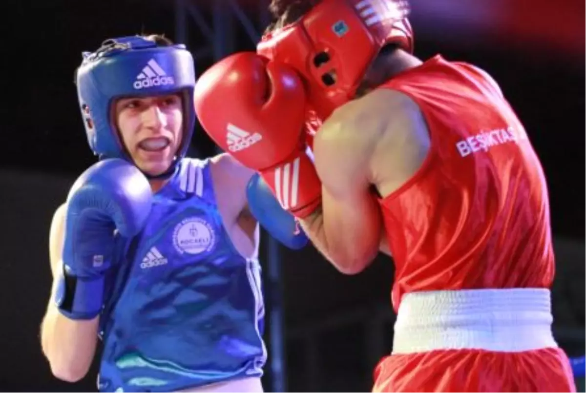 Boksörlerimiz Dokuz\'da Dokuz Yaptı