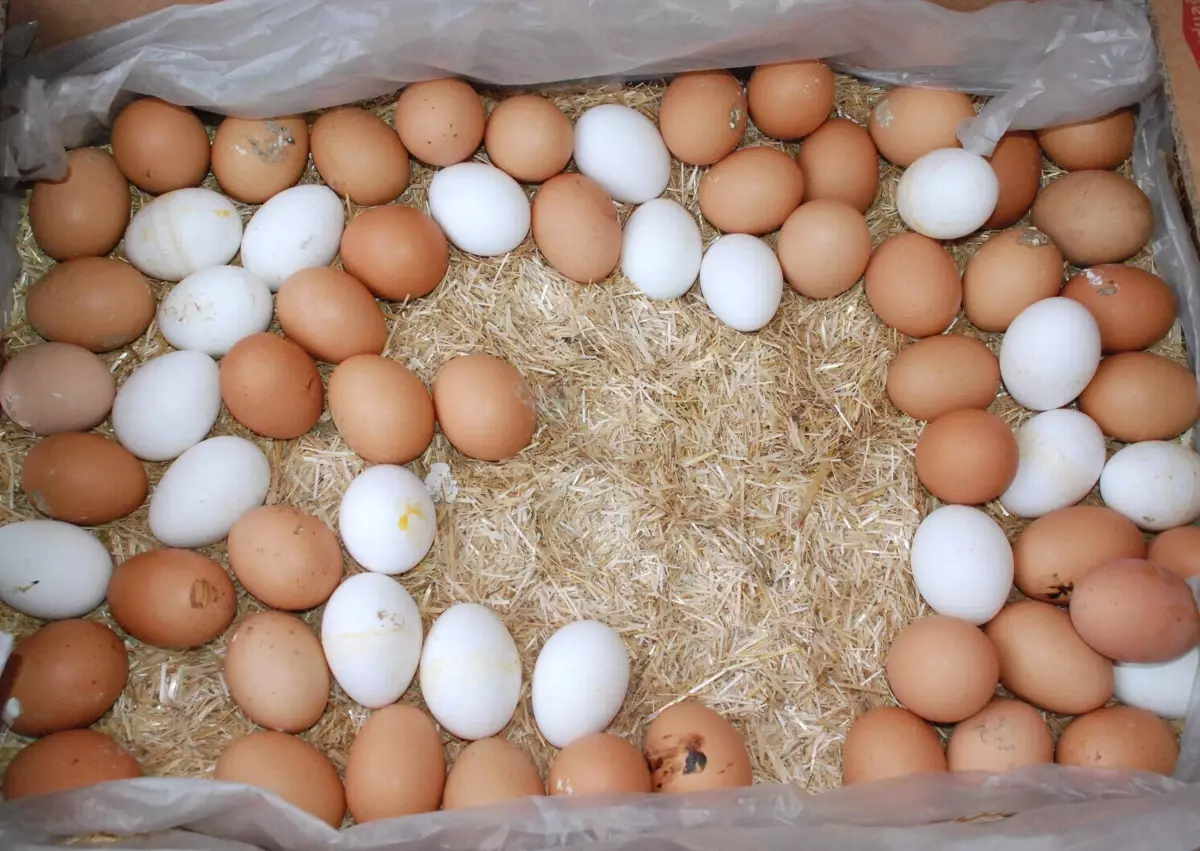 Edremit'te Bakkal Amca'dan Yumurta Ürünleri Tebliğine Tepki