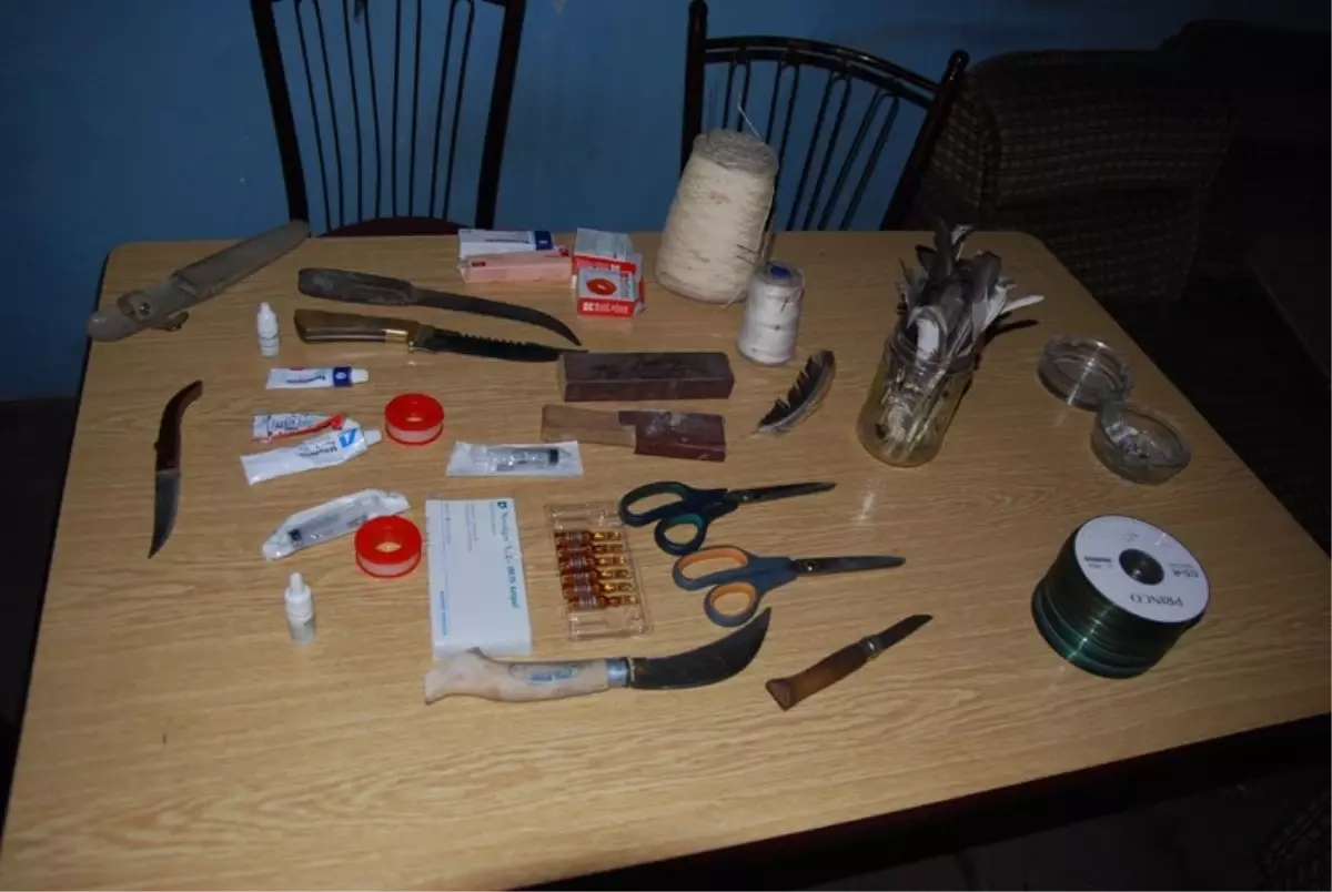 Horoz Dövüşü Yaptıranlara Baskın