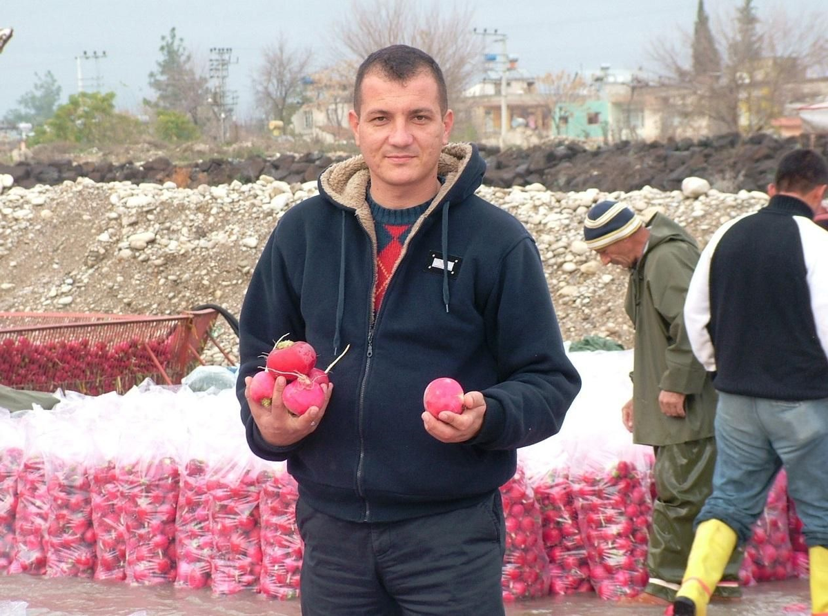 Yağışlar, Turp Üreticisini Sevindirdi