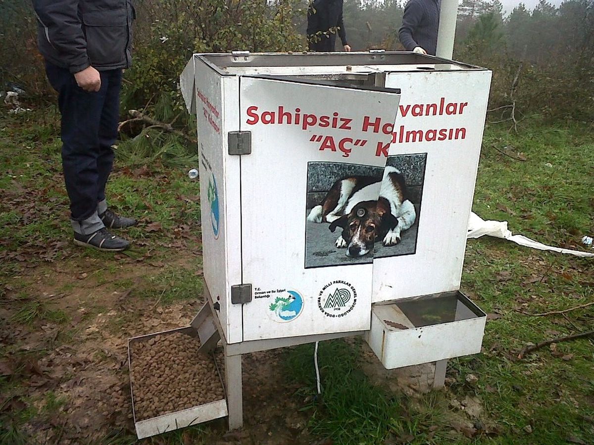 Yem Odağının Güneş Enerjisini Çaldılar