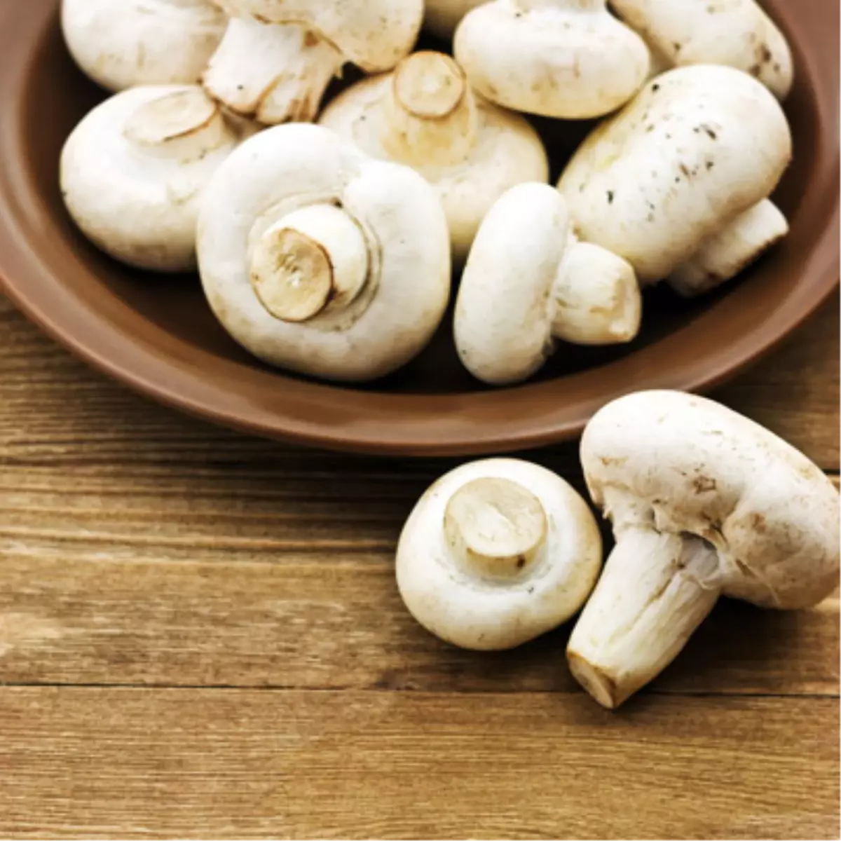 Mantar Zehirlenmesi Belirtileri Neler?