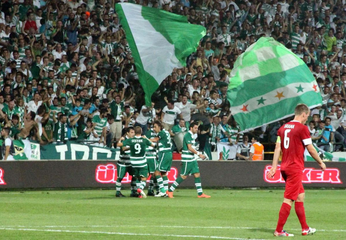 Timsah\'ın 2012 Performansı