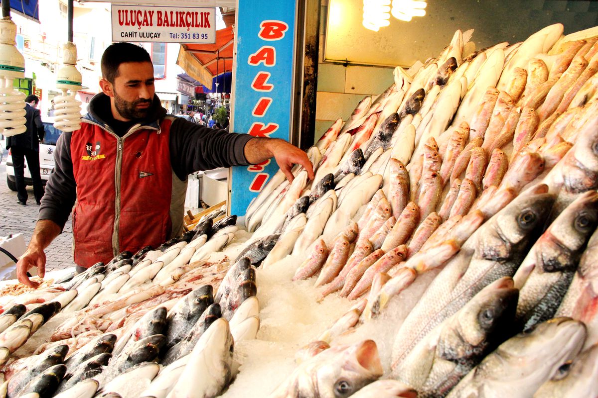 Balıkçıların Umudu \'2013\'