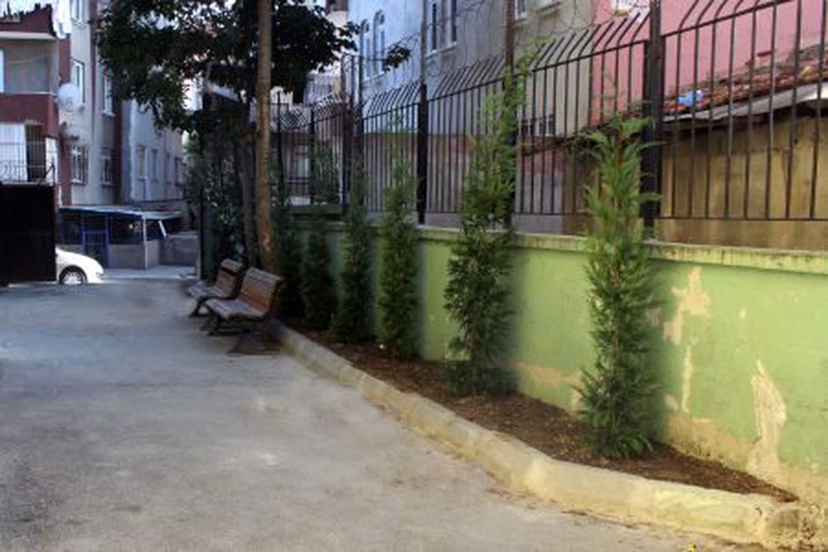 Okullarımız Yeşilleniyor