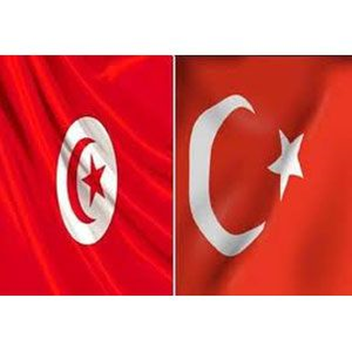 Tunus Hükümeti Türk Şirketlerle Anlaşma İmzaladı
