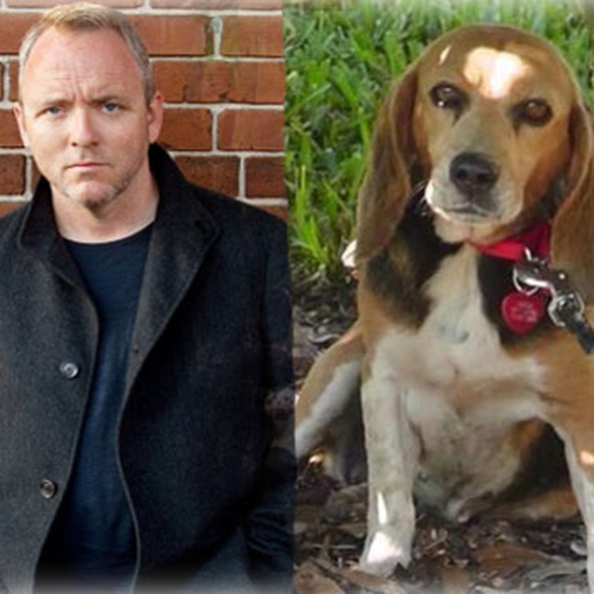 Ünlü Yazardan Köpeğini Bulana İlginç Ödül