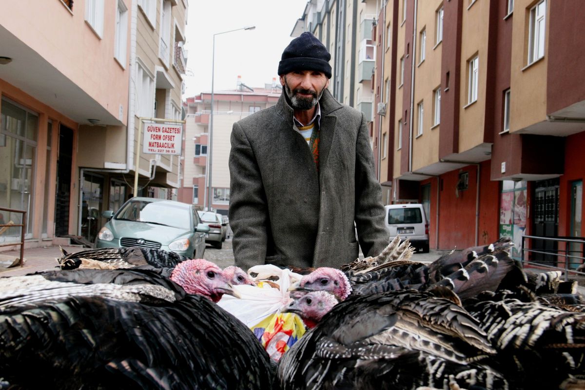 Bu da Evlere Yılbaşı Hindi Servisi