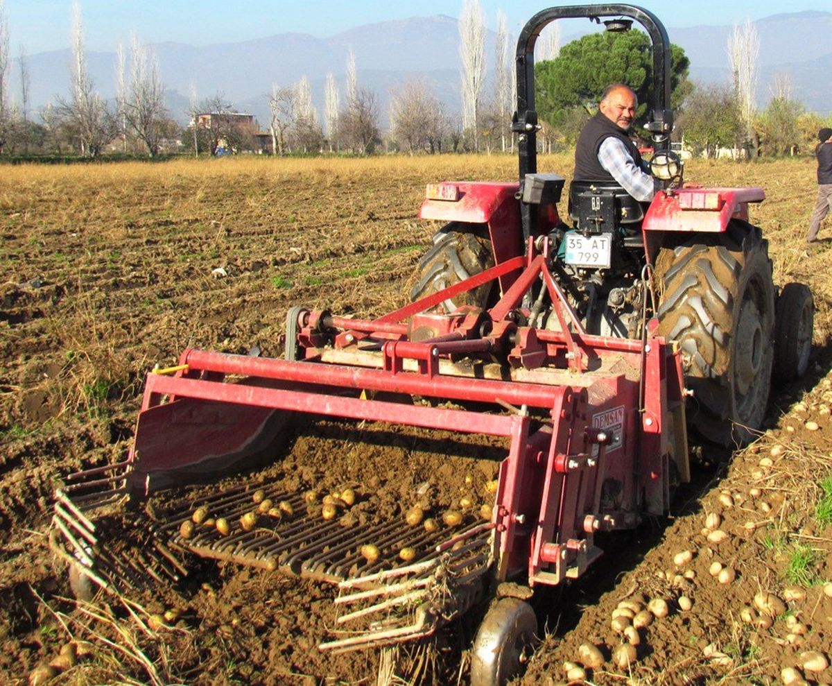 Ödemiş\'te Patates Sökümü Hızlandı