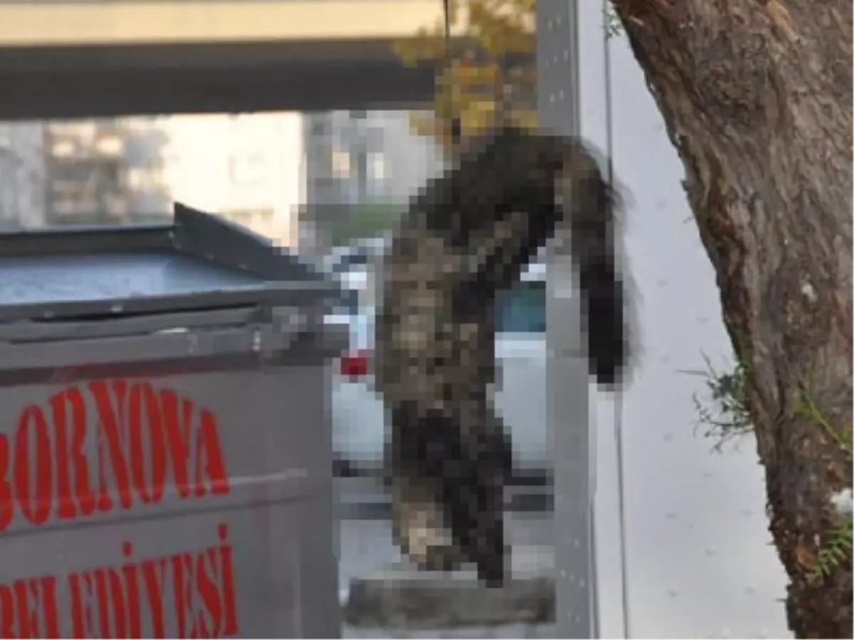 İzmir'de Kan Donduran Manzara