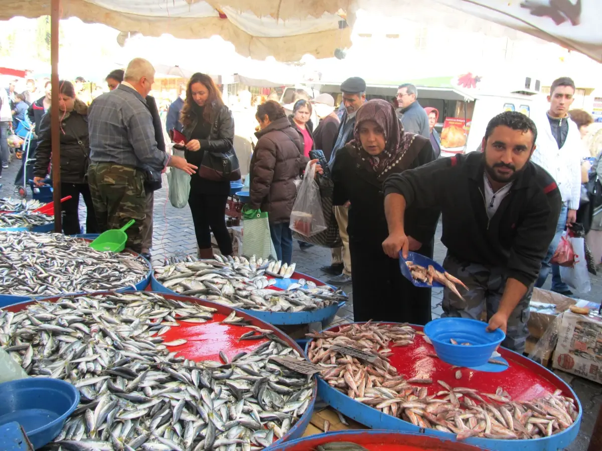 Kocaeli'de Balık Fiyatları