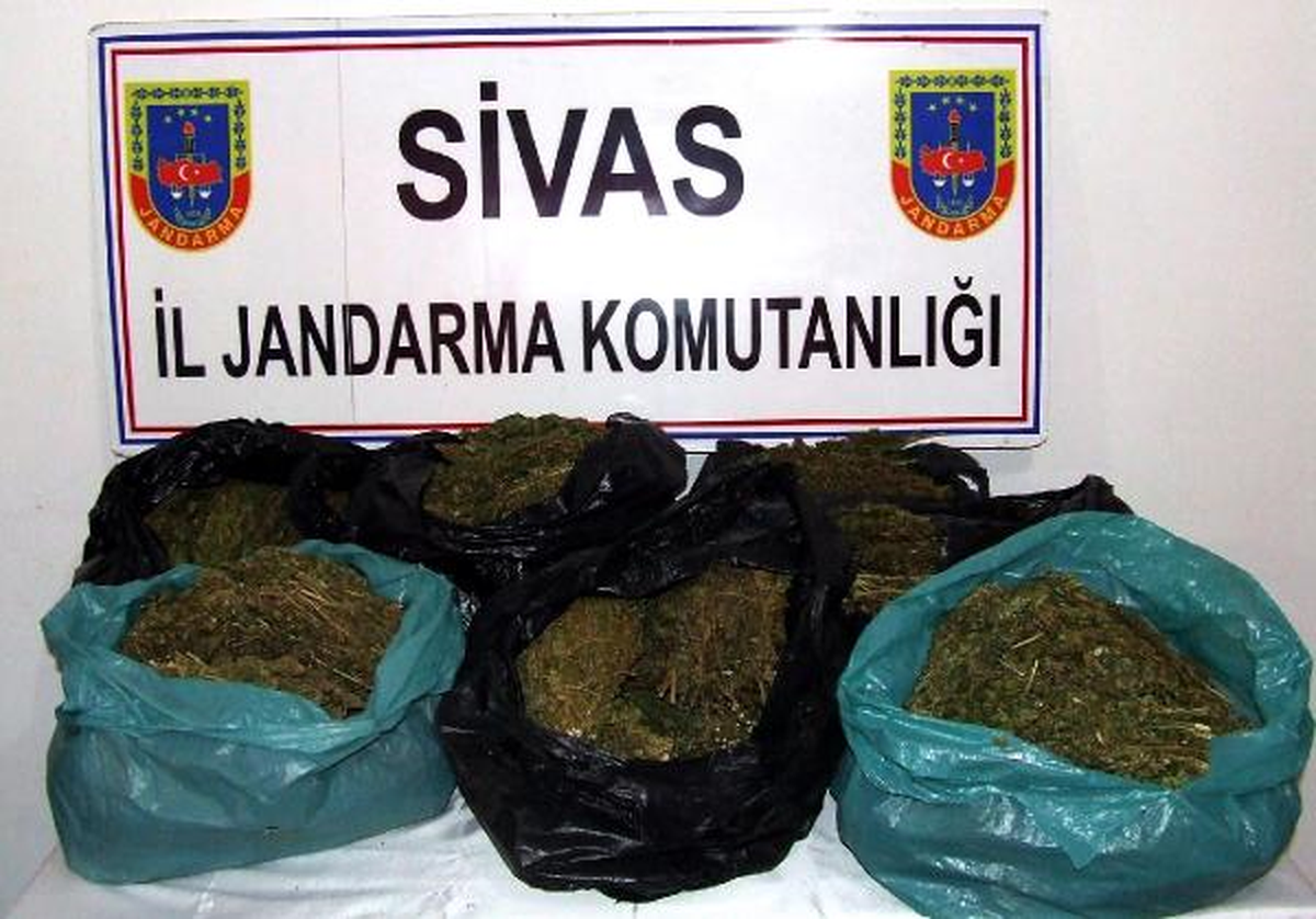 Sivas\'ta 16 Kilo 650 Gram Esrar Ele Geçirildi