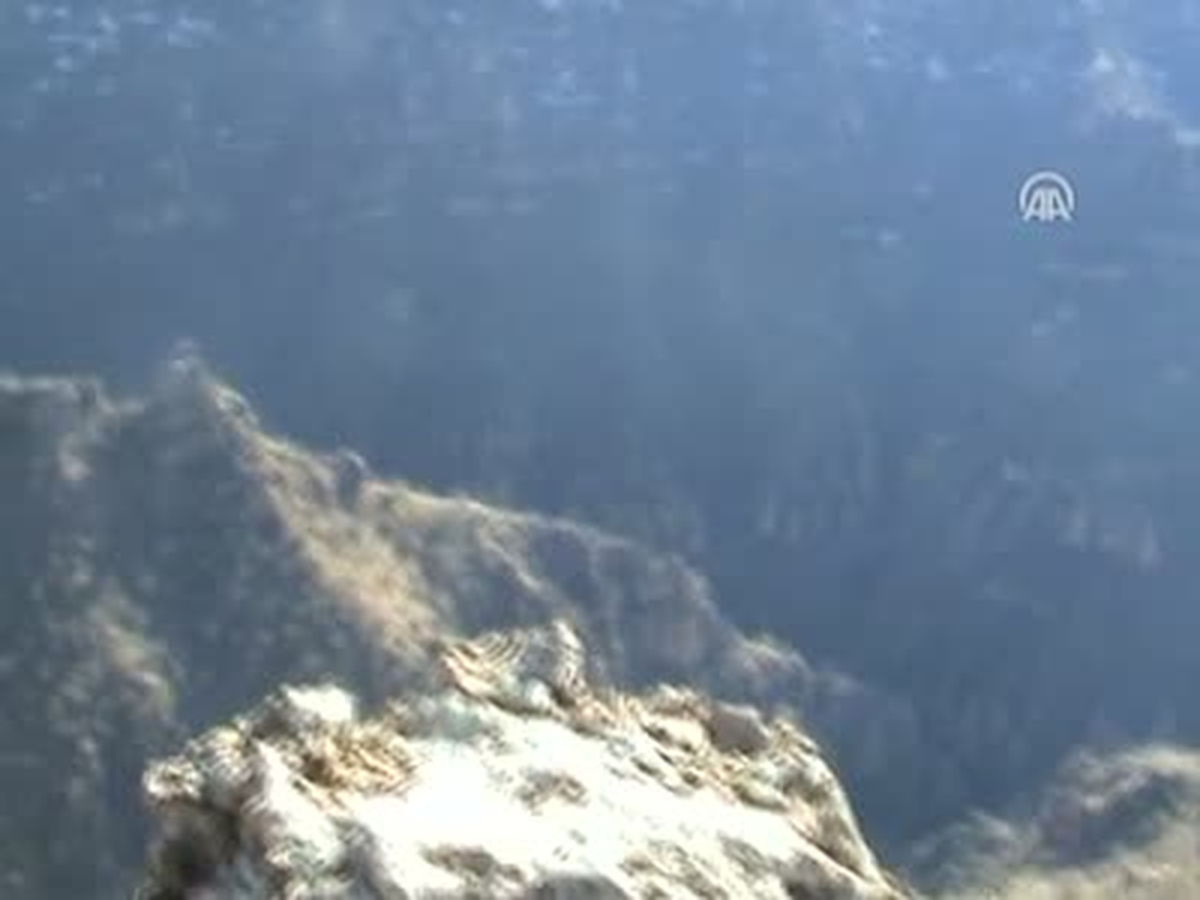 Teröristlere İlişkin Görüntüler