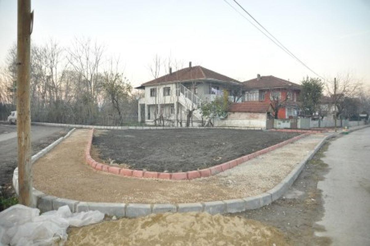 Yeni Sapanca Sahiline 300 Adet Meyve Fidanı