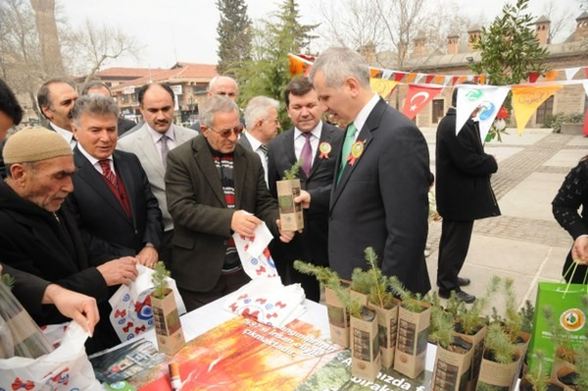 Çam Katliamını Engellemek İçin Fidan Dağıtacaklar