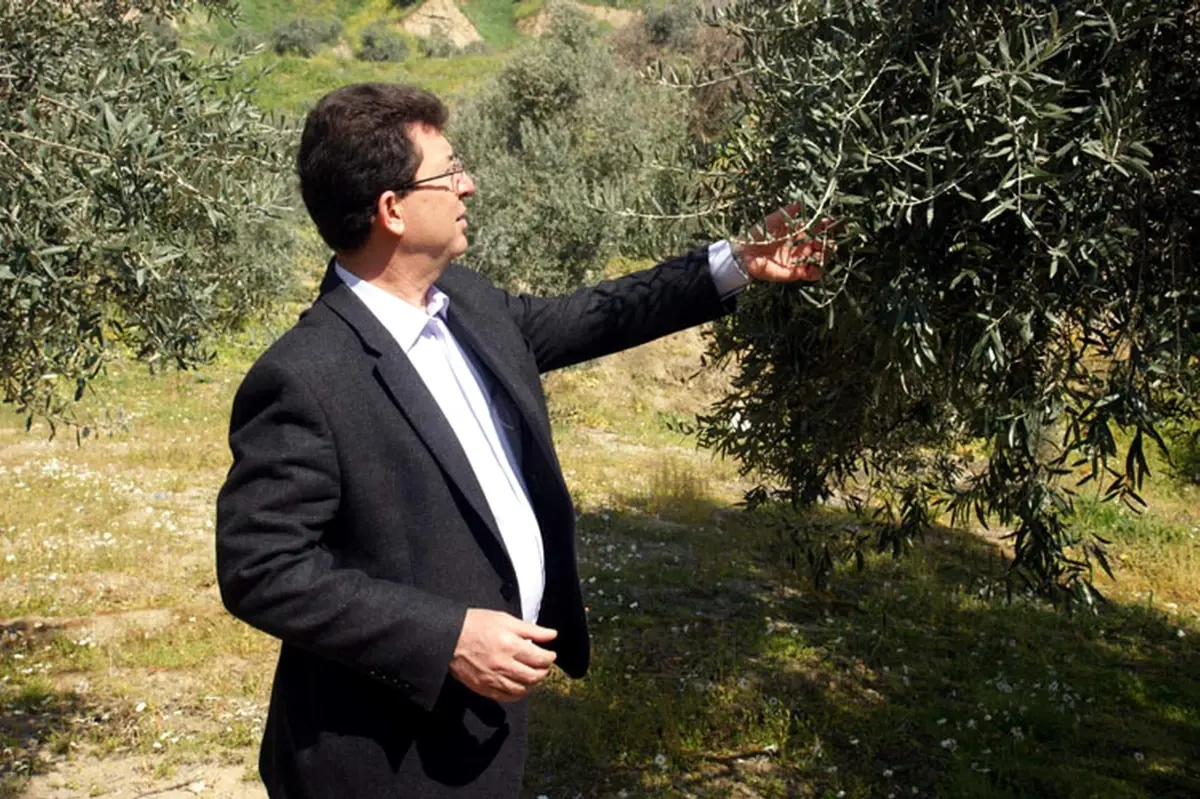 AK Parti'li Kılınç'tan Çiftçiye Ödeme Müjdesi